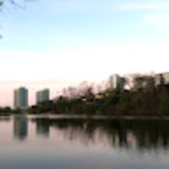 Meet your Posher, Catalina - Picture 1 of 1